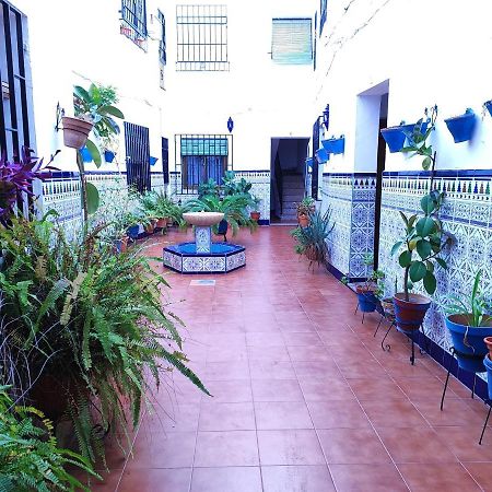 La Casa Del Patio En Pleno San Lorenzo Córdoba Exterior foto